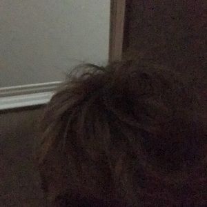 Meet your Posher, Ben